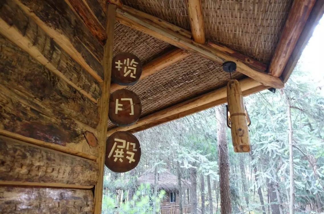 大來(lái)山樹(shù)屋民宿，喚醒古老村莊留住青山綠水
