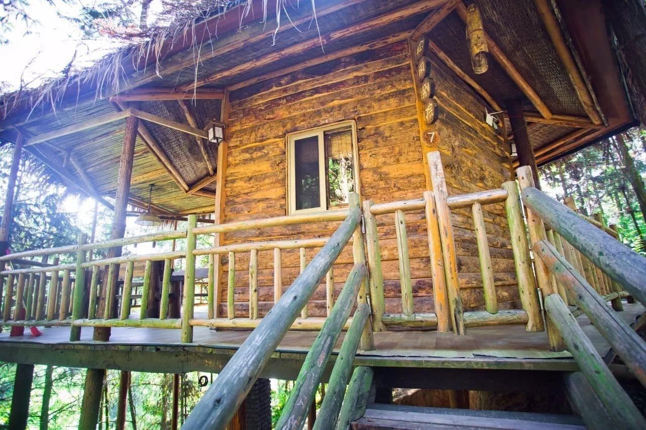 大來(lái)山樹(shù)屋民宿，喚醒古老村莊留住青山綠水