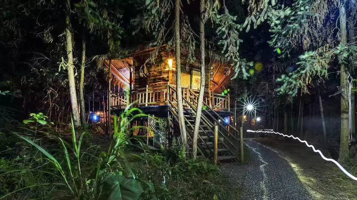 大來山樹屋民宿，喚醒古老村莊留住青山綠水