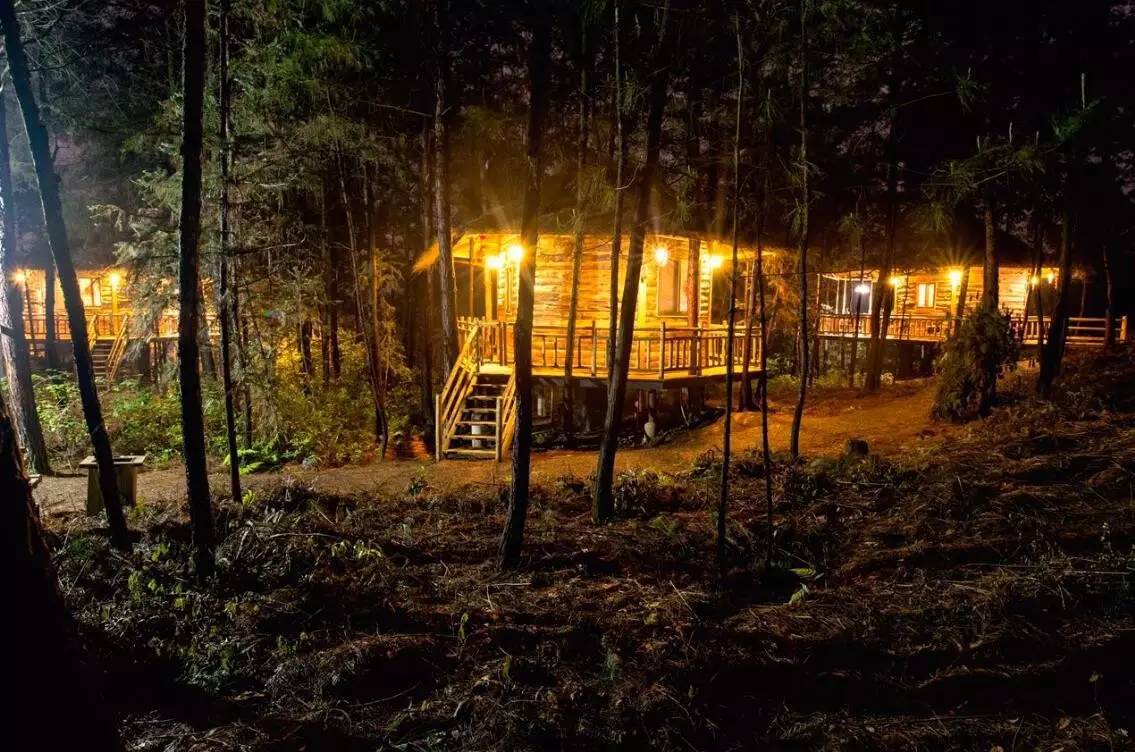 大來山樹屋民宿，喚醒古老村莊留住青山綠水
