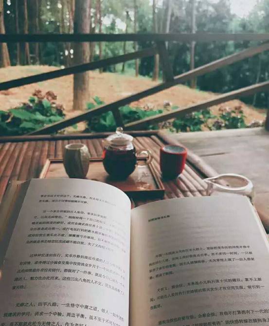 林中四舍民宿設(shè)計，一所鳥語花香的小木屋