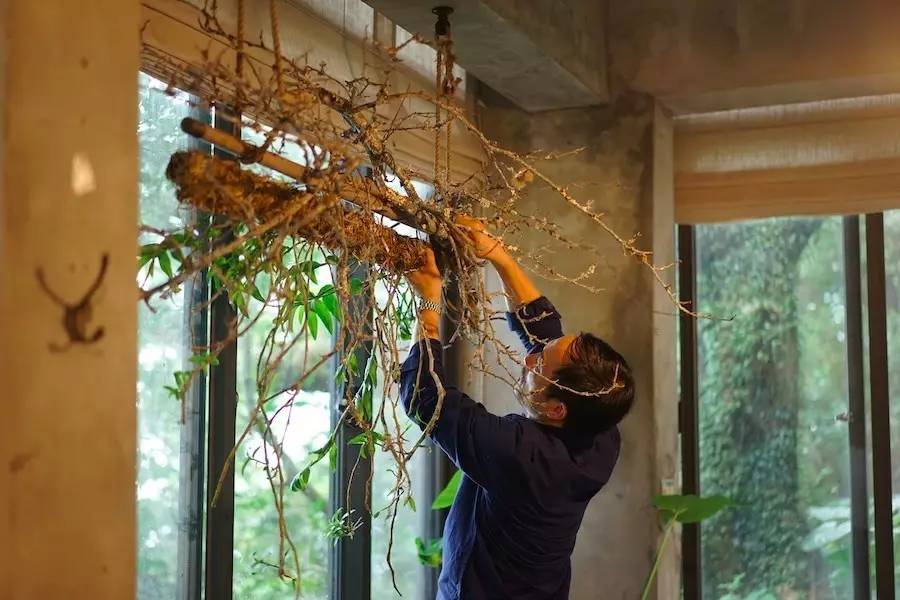 臺(tái)灣最文藝的山間小屋，數(shù)樹民宿設(shè)計(jì)