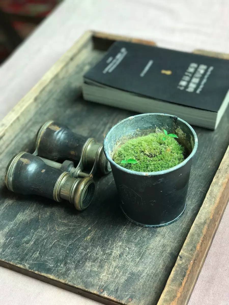 臺(tái)灣最文藝的山間小屋，數(shù)樹民宿設(shè)計(jì)