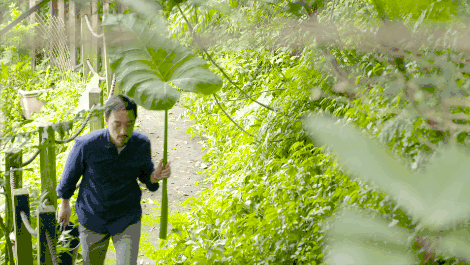 臺(tái)灣最文藝的山間小屋，數(shù)樹民宿設(shè)計(jì)