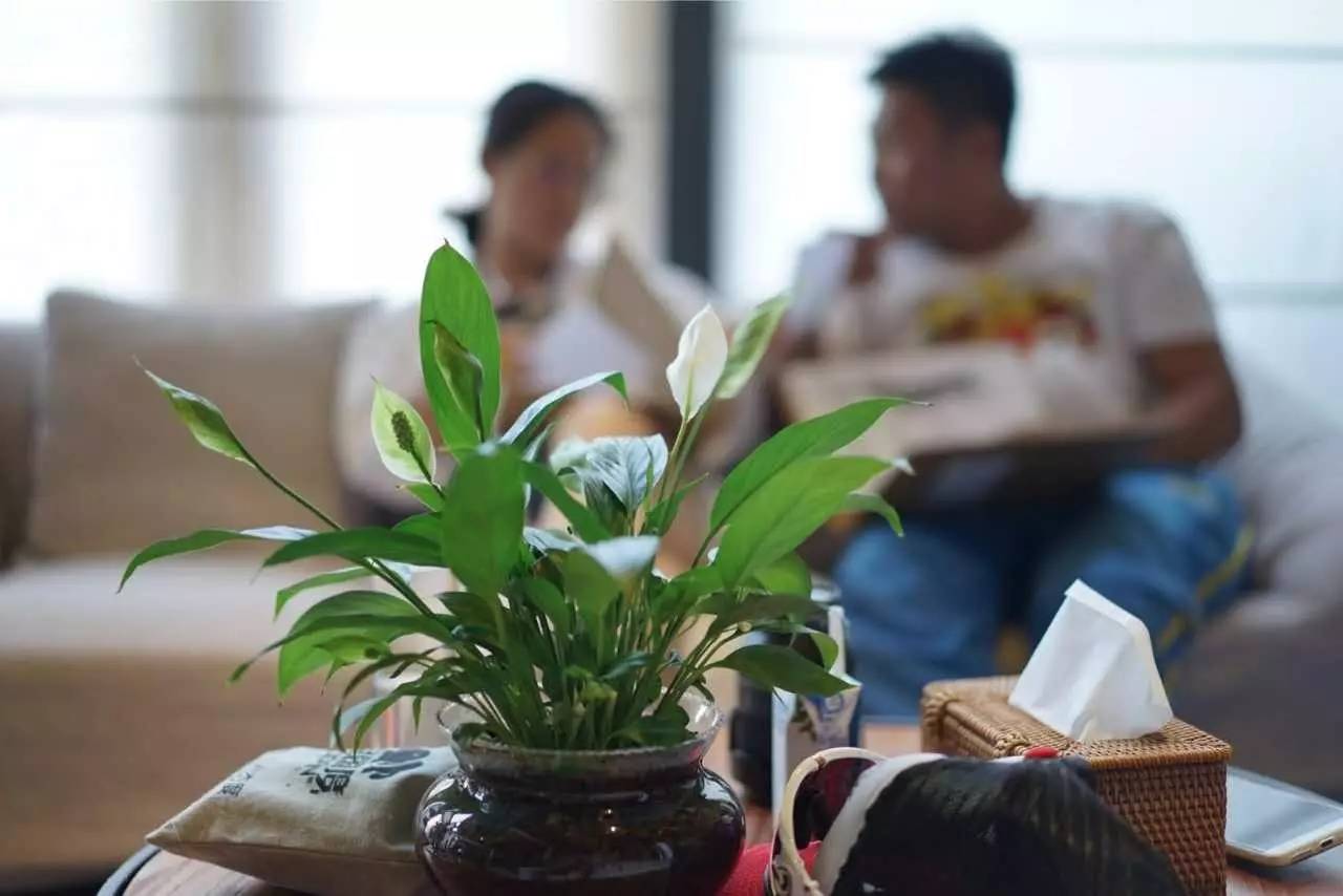 大舍為鄰，北京懷柔民宿設(shè)計(jì)