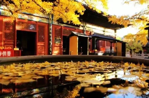 大舍為鄰，北京懷柔民宿設(shè)計