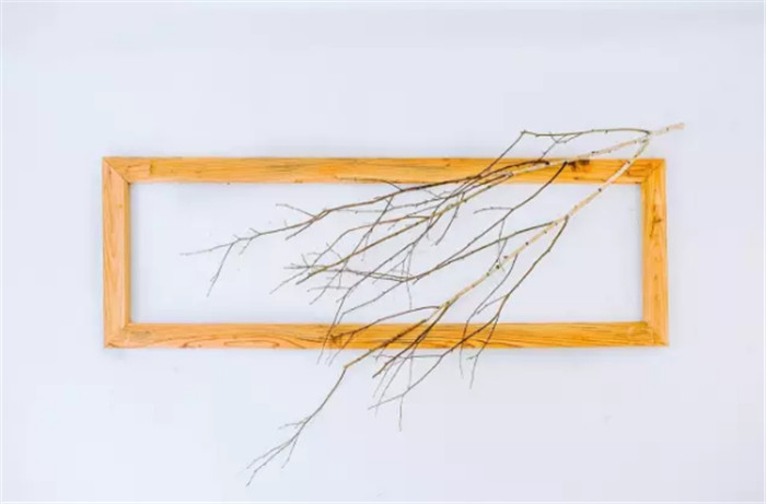 蝶夢(mèng)山丘