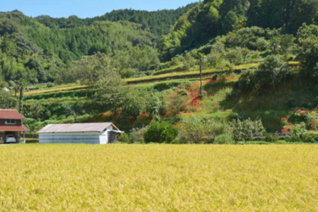 日本民宿體驗