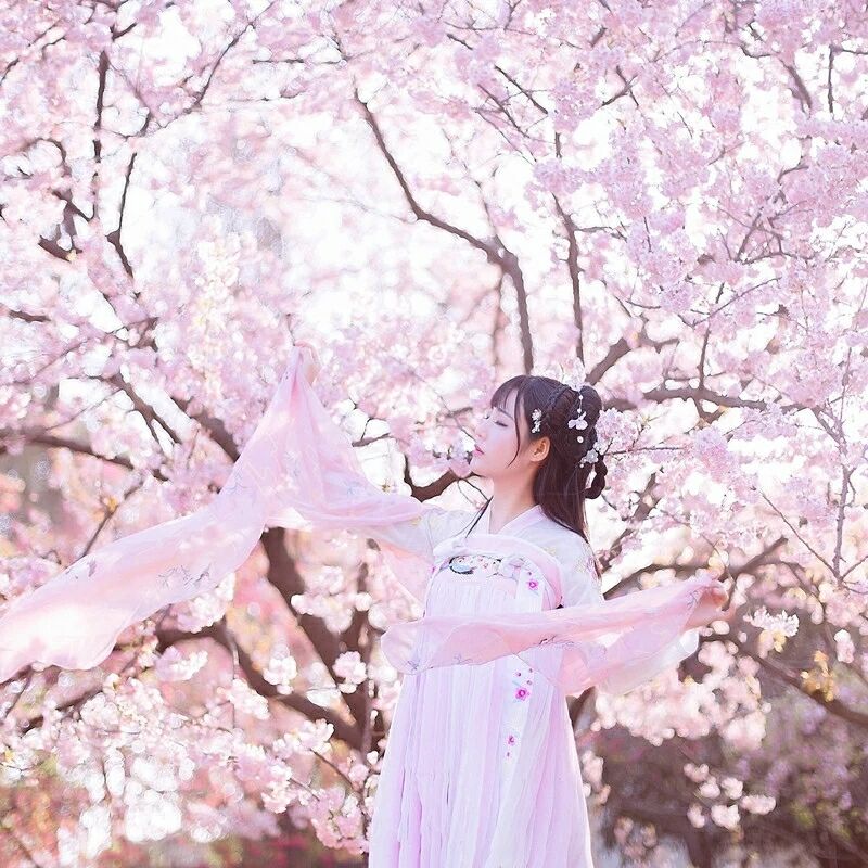 傳統(tǒng)華夏粉色漢服，漢元素清新淡雅漢服圖片