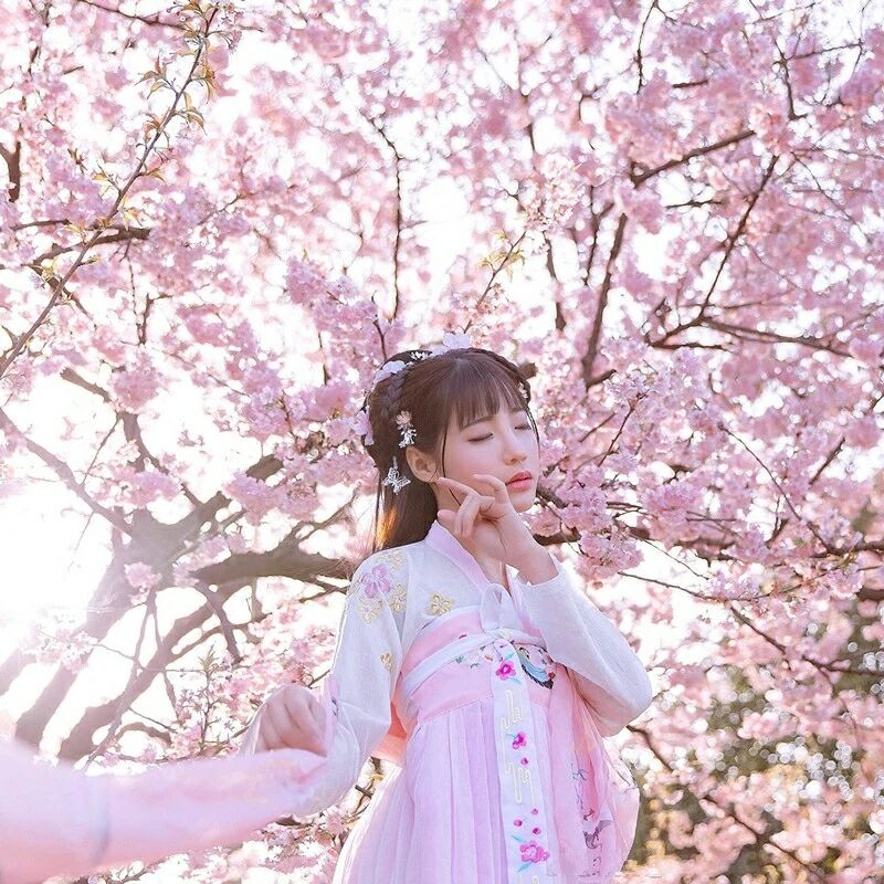傳統(tǒng)華夏粉色漢服，漢元素清新淡雅漢服圖片