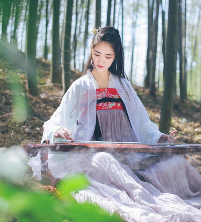 魏晉風(fēng)女裝繡花大袖衫，復(fù)古中國風(fēng)漢服圖片