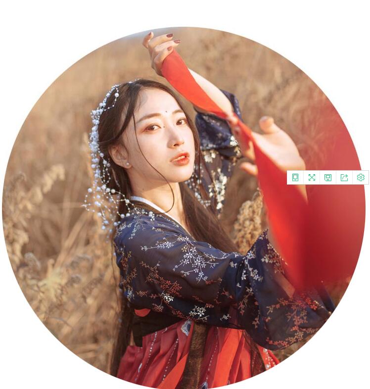 傳統(tǒng)齊胸襦裙，錦繡燙金刺繡漢服圖片