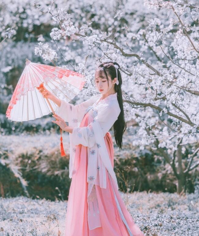 刺繡對(duì)襟齊胸襦裙，清新淡雅漢服