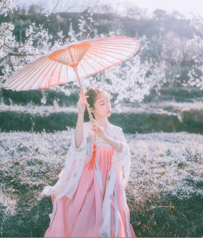 刺繡對(duì)襟齊胸襦裙，清新淡雅漢服