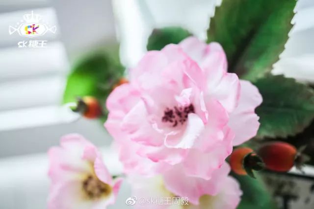 一代糖王，技術(shù)之路沒(méi)有終點(diǎn)不忘初心砥礪前行