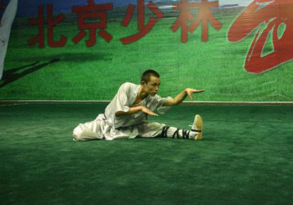 中華武術(shù)：蛇拳