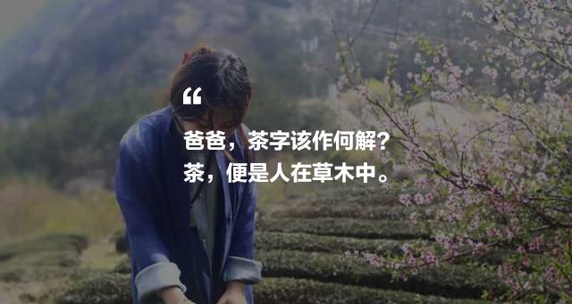 曉陽春茶，尋找茶道融于茶水中的美好生活