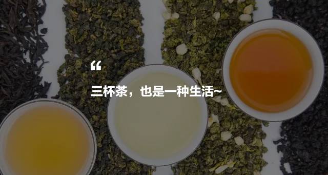 烏龍先生，用心做好茶發(fā)揚(yáng)博大精深的茶文化