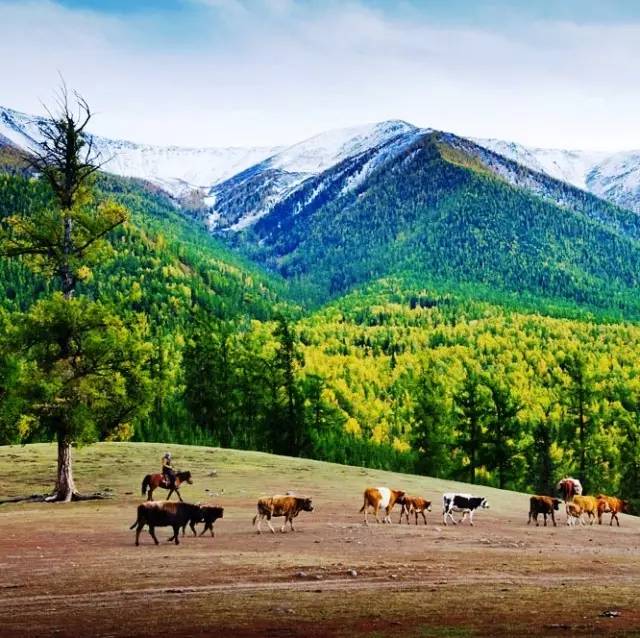 撥動(dòng)心弦的人間美景：西北第一村·白哈巴