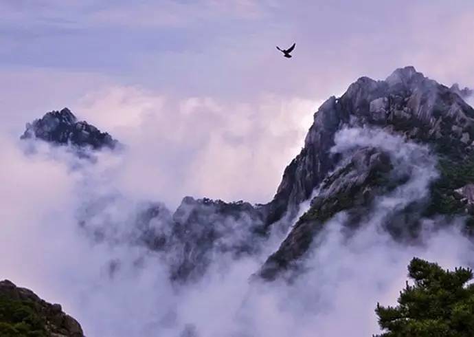 大美黃山：40幅黃山風(fēng)景攝影！