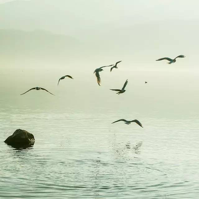 風(fēng)景攝影作品時(shí)光靜好：邛海景色！