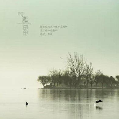 風景攝影作品時光靜好：邛海景色！