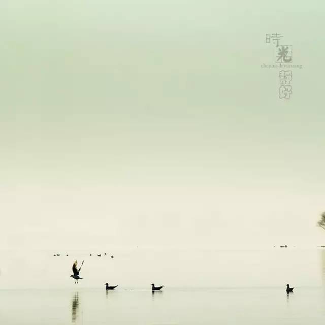 風(fēng)景攝影作品時光靜好：邛海景色！