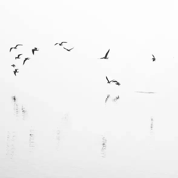 風(fēng)景攝影作品時光靜好：邛海景色！