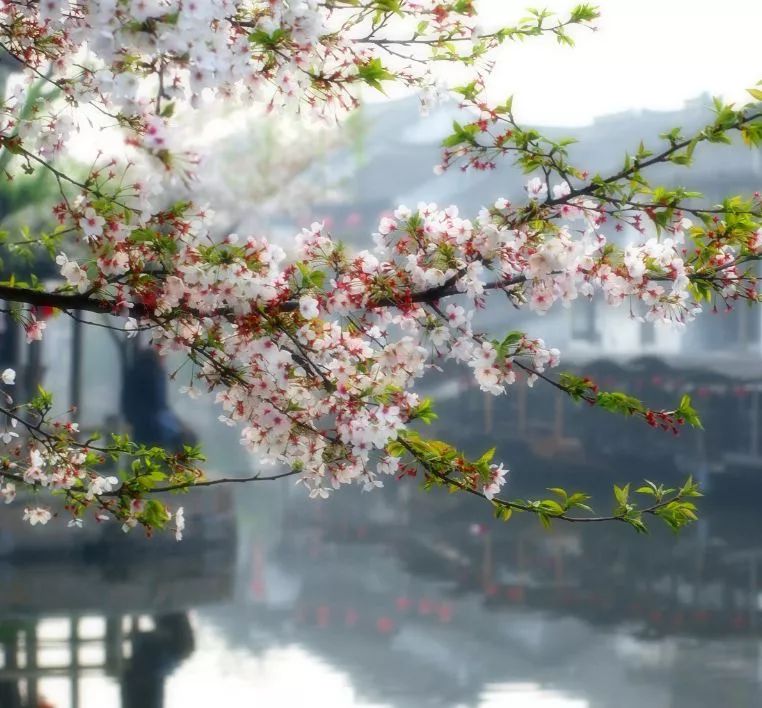 遇見中國最美的風(fēng)景，30個(gè)景色宜人的地方！