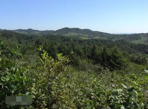 長白山余脈在昌圖，三省交界風(fēng)景最美地