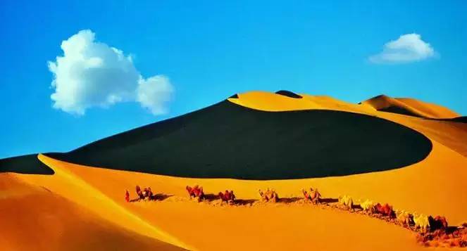 《天邊的駱駝》，震撼的沙漠風(fēng)景之美!