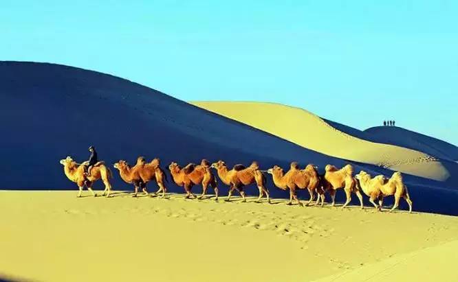 《天邊的駱駝》，震撼的沙漠風(fēng)景之美!