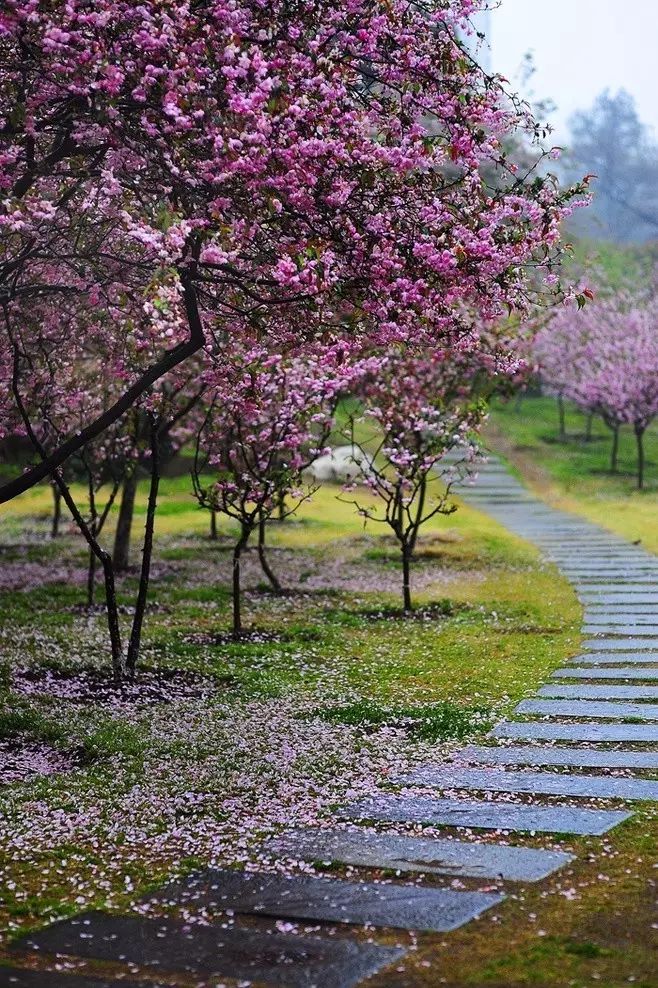 最美江南風(fēng)景：人間最憶江南春