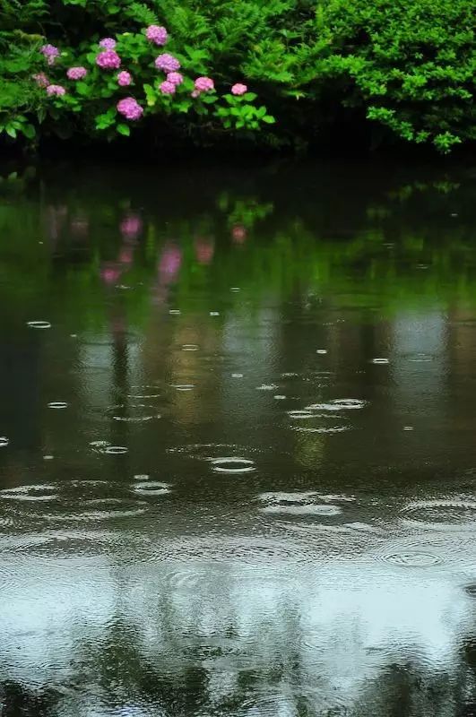 最美江南風(fēng)景：人間最憶江南春