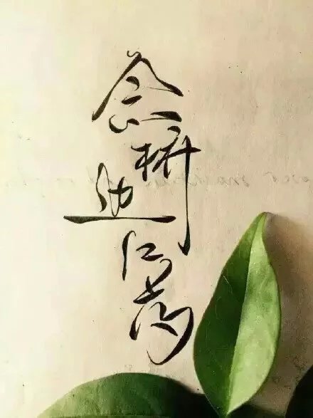 別致新穎的書法字體，美的很有意境！