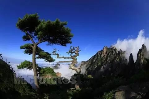 五一小長假，適合游玩的十大風景點匯總