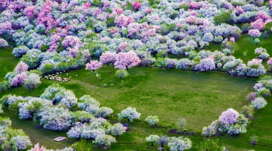 最美人間四月，詩情畫意不可錯失的風景推薦