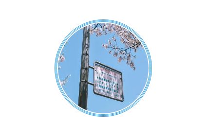 踏青尋色：春光無限好，只為等待一個(gè)你
