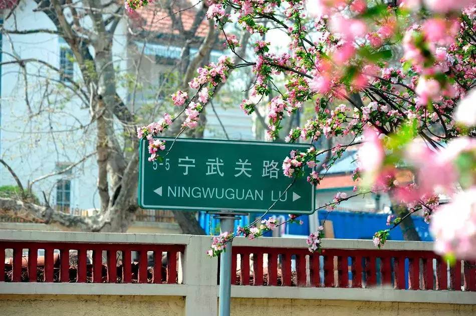 清明小長(zhǎng)假，去這9個(gè)絕美的地方踏青