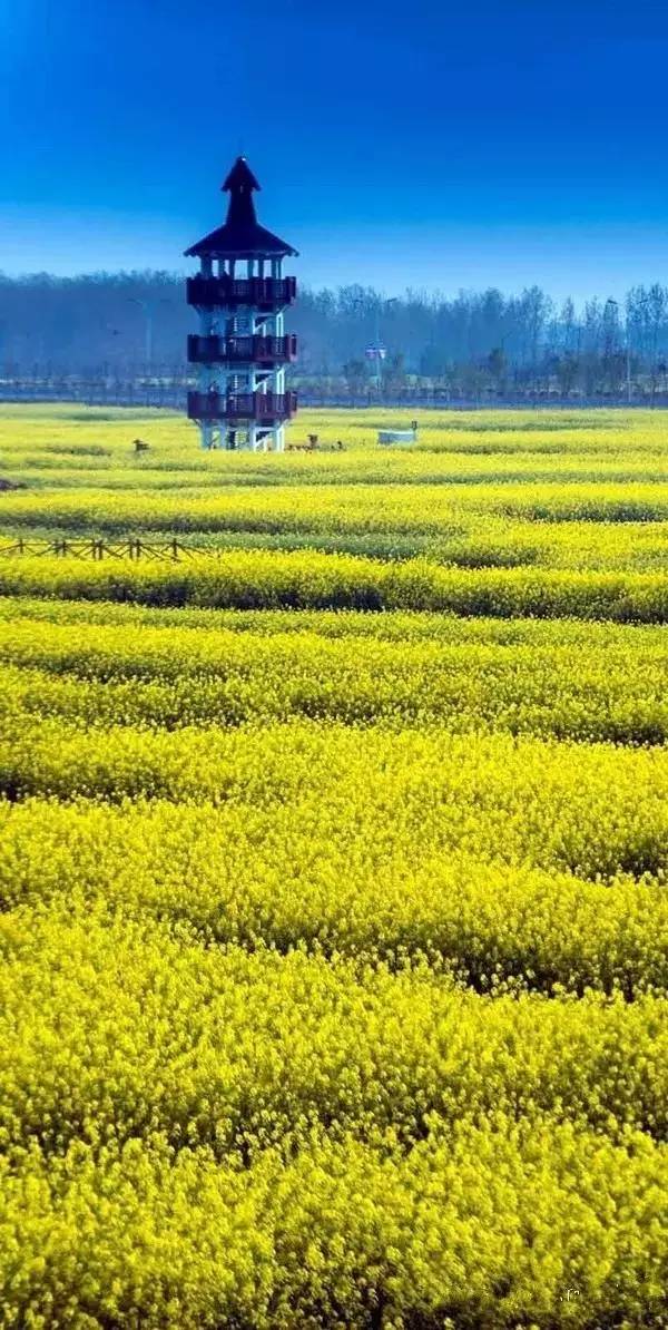 清明小長(zhǎng)假，去這9個(gè)絕美的地方踏青