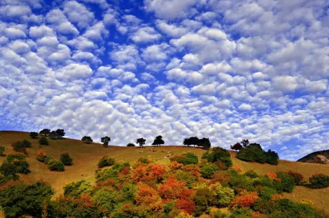 十處優(yōu)美的山水風(fēng)景，錦繡山河如詩(shī)如畫！