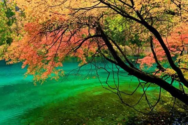 十處優(yōu)美的山水風(fēng)景，錦繡山河如詩(shī)如畫！