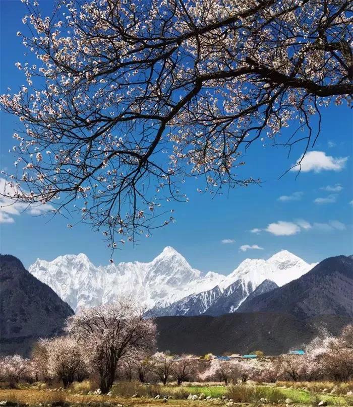 8處風(fēng)景如詩如畫，春天最值得去的地方！