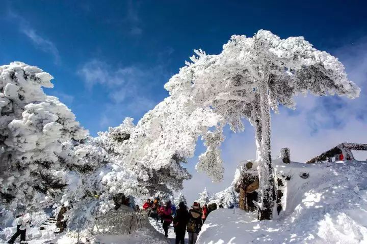 雪后黃山風(fēng)景宛如人間仙境，舞一曲雪中霓裳羽