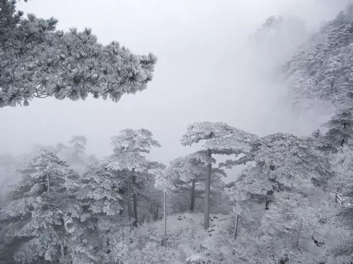 雪后黃山風(fēng)景宛如人間仙境，舞一曲雪中霓裳羽