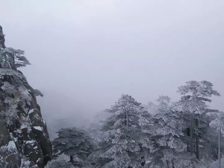 雪后黃山風(fēng)景宛如人間仙境，舞一曲雪中霓裳羽