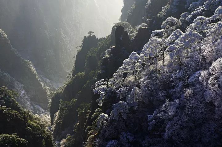 雪后黃山風景宛如人間仙境，舞一曲雪中霓裳羽