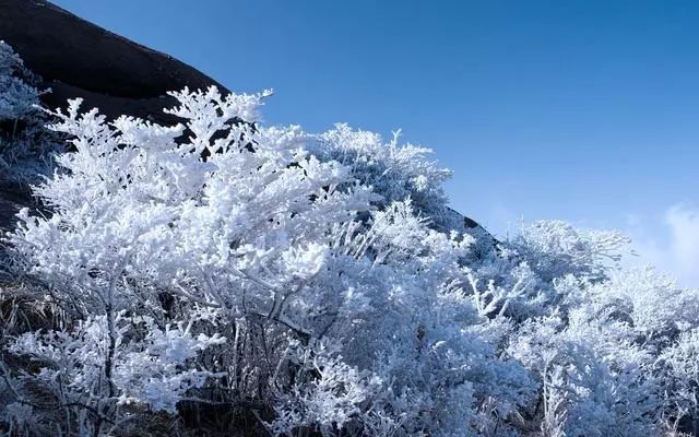 雪后黃山風景宛如人間仙境，舞一曲雪中霓裳羽