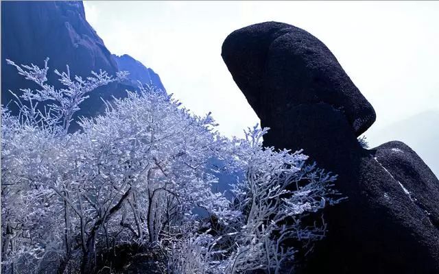 雪后黃山風景宛如人間仙境，舞一曲雪中霓裳羽