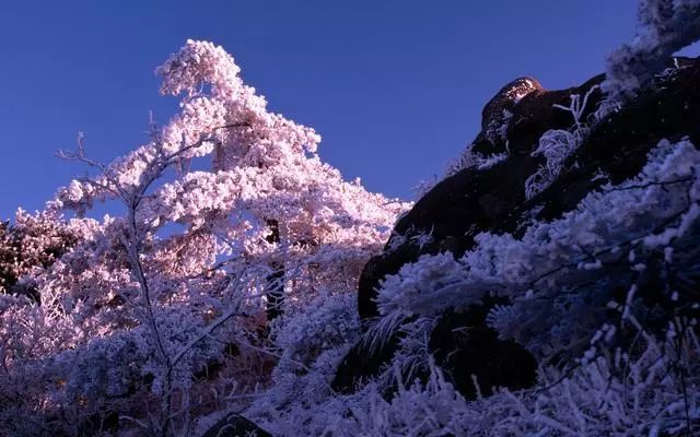 雪后黃山風景宛如人間仙境，舞一曲雪中霓裳羽